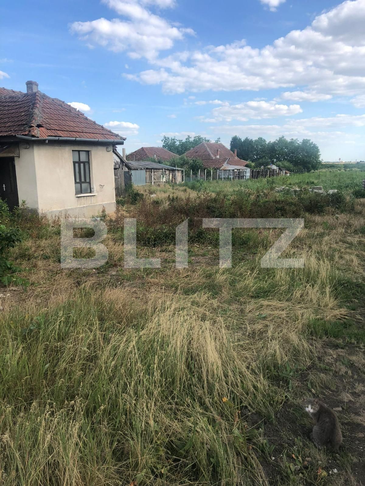 Teren de vânzare Giarmata - 88963TV | BLITZ Timișoara | Poza2