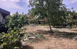 Casă în Elisabetin cu teren de 934 mp!