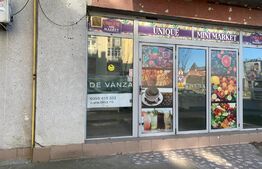 Spatiu comercial 120 mp la artera intens circulata