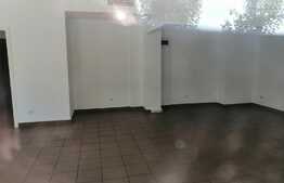 Spatiu comercial 120 mp la artera intens circulata