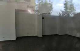 Spatiu comercial 120 mp la artera intens circulata