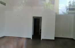 Spatiu comercial 120 mp la artera intens circulata