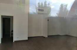 Spatiu comercial 120 mp la artera intens circulata