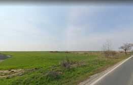 Teren de 5,3 ha pe DN6 , Timisoara - Cenad