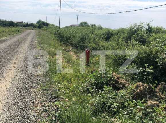 Teren de vânzare Calea Urseni - 89538TV | BLITZ Timișoara | Poza1