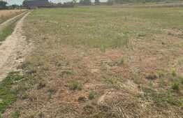 Teren de 683 mp, in Sanmihaiul Roman