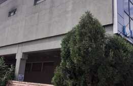 Clădire multifuncțională,1160 mp, zonă Semicentrală