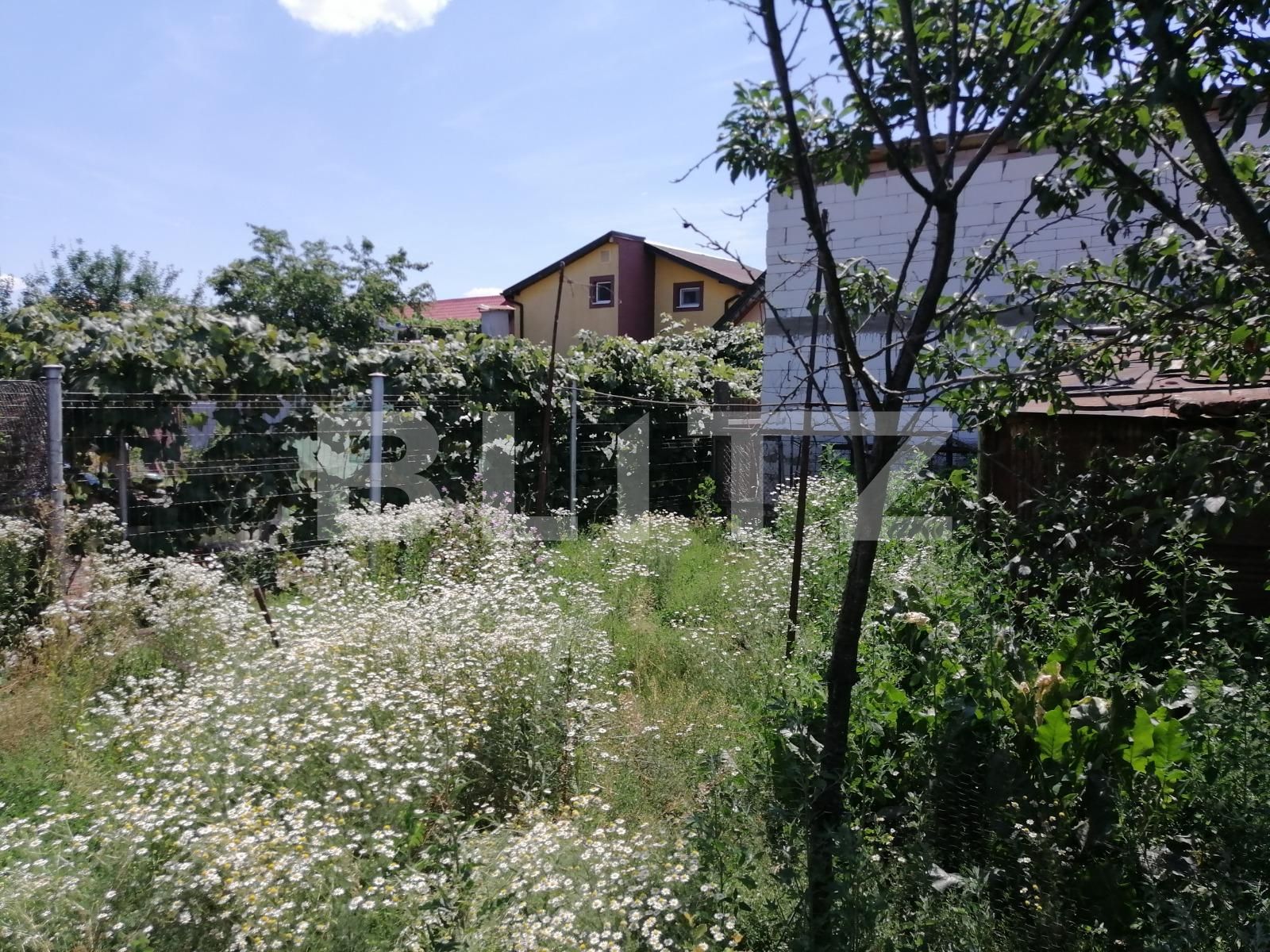 Casa de vânzare 5 camere Plopi - 89775CV | BLITZ Timișoara | Poza15