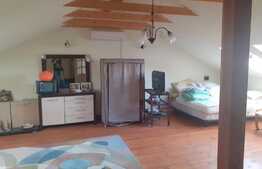 Casă 110 mp, teren 1287 mp, Mehala