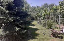 Casă 110 mp, teren 1287 mp, Mehala