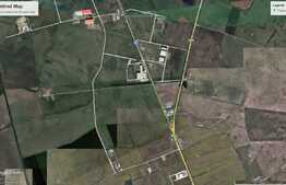 Teren cu suprafaţă de 10000 mp, în zona Sânandrei