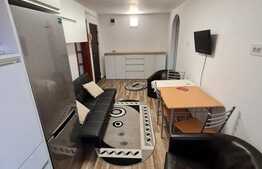 Apartament 2 camere, 50 mp, mobilat/utilat, zona Lipovei