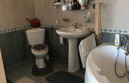 Casa de 195 mp, teren 916 mp, garaj, in Dumbravita