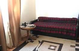 Casa de 195 mp, teren 916 mp, garaj, in Dumbravita