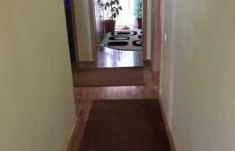 Casa de 195 mp, teren 916 mp, garaj, in Dumbravita