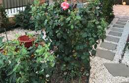 Casa cu teren de 384 mp, garaj, in zona Dumbravita