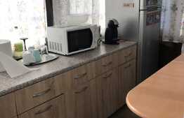 Casa cu teren de 384 mp, garaj, in zona Dumbravita