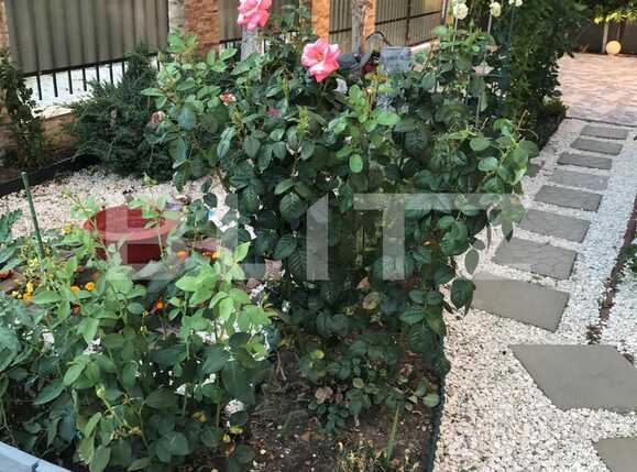 Casa de vânzare 5 camere Dumbravita - 90441CV | BLITZ Timișoara | Poza16