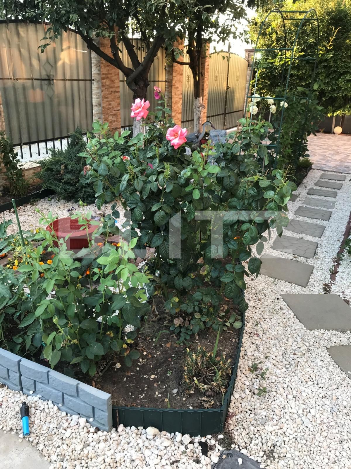 Casa de vânzare 5 camere Dumbravita - 90441CV | BLITZ Timișoara | Poza16