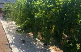 Casa de vanzare, 180 mp utili, 390 mp, Dumbravita!