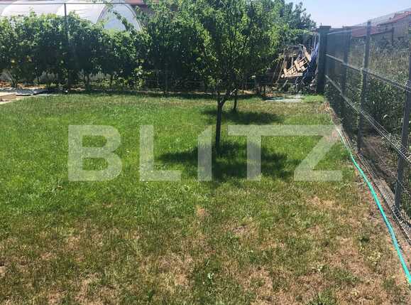 Casa de vânzare 5 camere Dumbravita - 90558CV | BLITZ Timișoara | Poza4