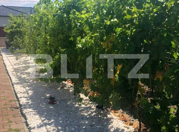 Casa de vânzare 5 camere Dumbravita - 90558CV | BLITZ Timișoara | Poza3