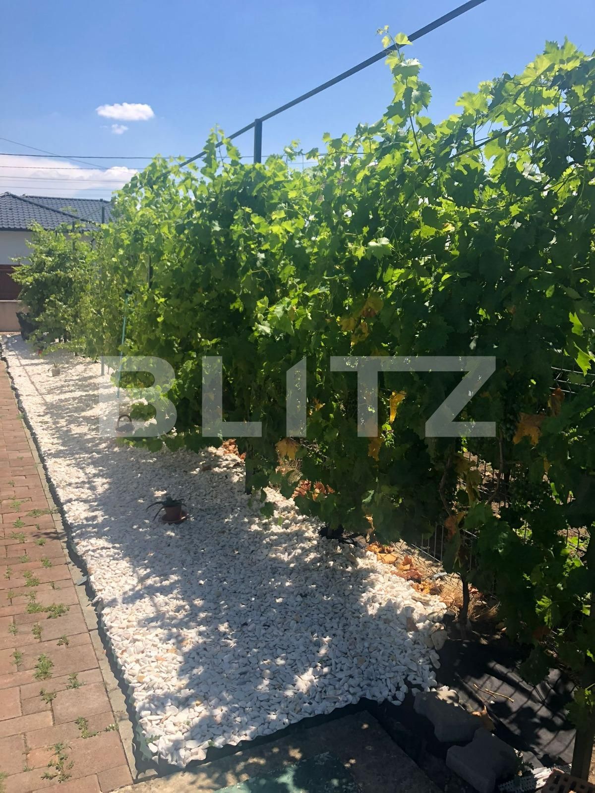 Casa de vânzare 5 camere Dumbravita - 90558CV | BLITZ Timișoara | Poza3