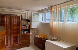 Spatiu comercial D+P+E de 450 mp, în zona Lipovei