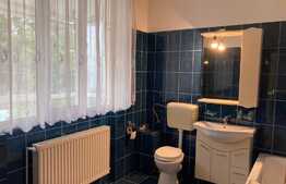 Spatiu comercial D+P+E de 450 mp, în zona Lipovei