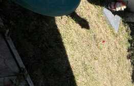 Casa de 8 camere, 190 mp, teren 360 mp, garaj, Lipovei