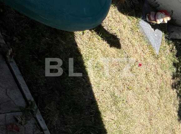 Casa de vânzare 8 camere Lipovei - 90682CV | BLITZ Timișoara | Poza2