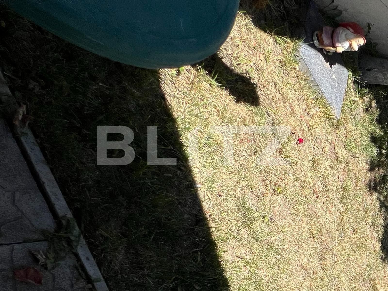 Casa de vânzare 8 camere Lipovei - 90682CV | BLITZ Timișoara | Poza2