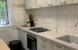 Garsoniera spatioasa, 30 mp, mobilat/utilat, in Complexul Studentesc