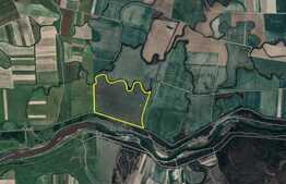 Teren extravilan de 48 ha, in Bazoșu Nou