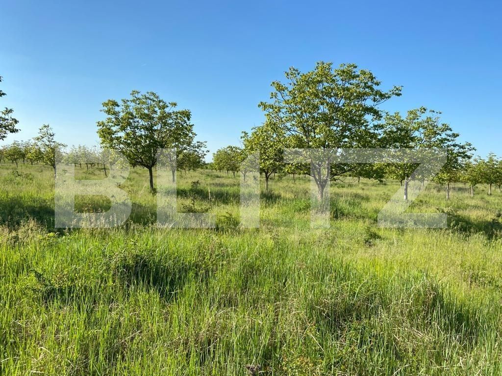 Teren de vânzare Remetea Mare - 90991TV | BLITZ Timișoara | Poza4