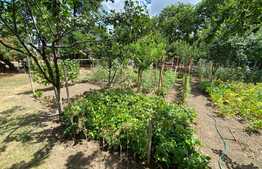 Apartament de 2 camere, 56 mp, decomandat, in Peciu Nou