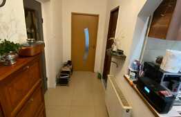 Apartament de 2 camere, 56 mp, decomandat, in Peciu Nou