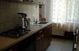 Apartament de 2 camere, 56 mp, decomandat, in Peciu Nou