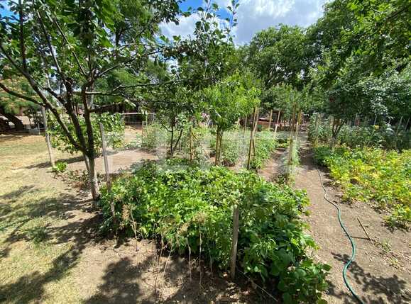 Apartament de vânzare 2 camere Periferie - 91061AV | BLITZ Timișoara | Poza16