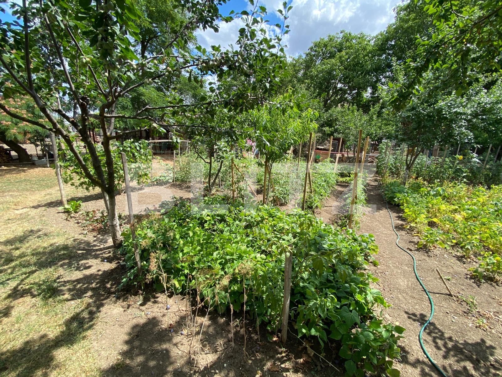 Apartament de vânzare 2 camere Periferie - 91061AV | BLITZ Timișoara | Poza16