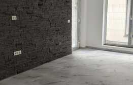 Duplex 130 mp utili, 310 mp teren, Mosnita Noua