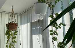 Apartament de 4 camere, 88 mp, etajul 1, zona Dambovita