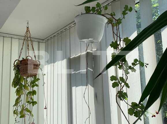 Apartament de vânzare 4 camere Dambovita - 91498AV | BLITZ Timișoara | Poza6