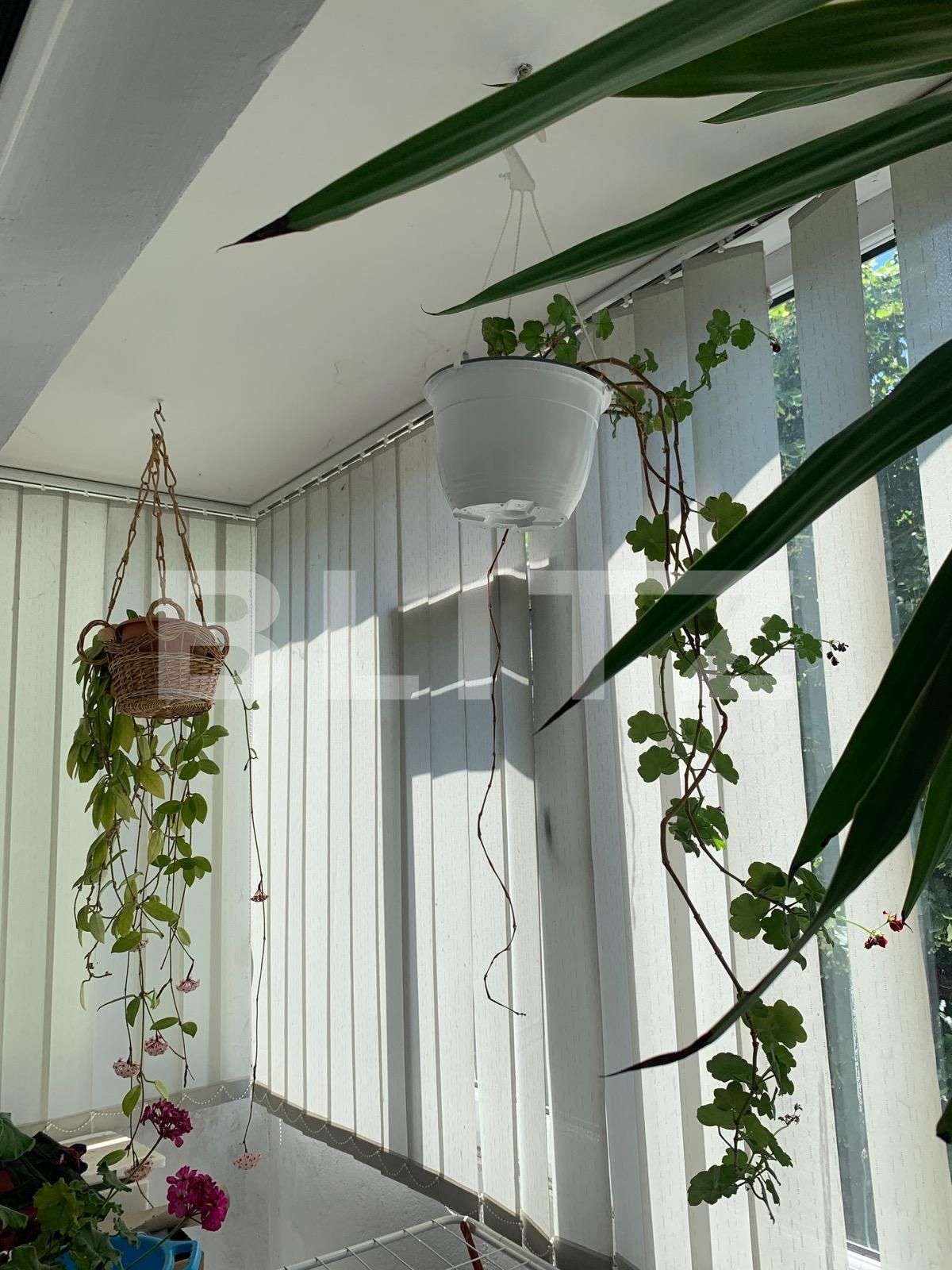 Apartament de vânzare 4 camere Dambovita - 91498AV | BLITZ Timișoara | Poza6