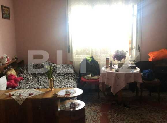 Casa de vânzare 8 camere Fratelia - 91540CV | BLITZ Timișoara | Poza3