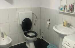 Casa individuala de 155 mp, 741 mp teren, zona Mehala!