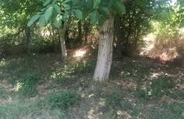 Casa individuala de 155 mp, 741 mp teren, zona Mehala!