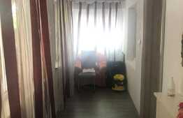 Casa individuala de 155 mp, 741 mp teren, zona Mehala!