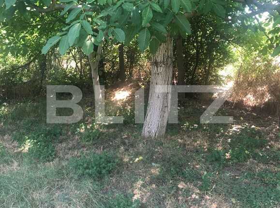 Casa de vânzare 4 camere Mehala - 91582CV | BLITZ Timișoara | Poza15