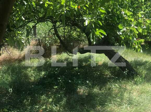 Casa de vânzare 4 camere Mehala - 91582CV | BLITZ Timișoara | Poza16